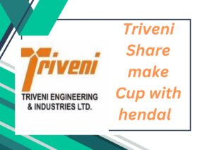 Triveni Share Price