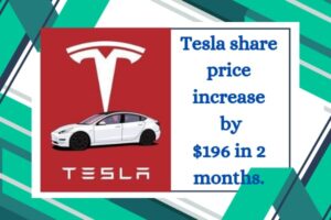 Tesla Share Price